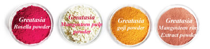 ผงสกัด Extract Powder